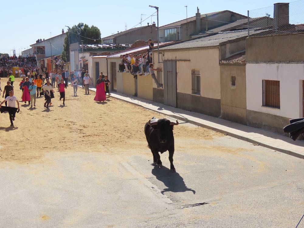 Bravura y juventud bajo un sol de justicia por las calles de Villoria