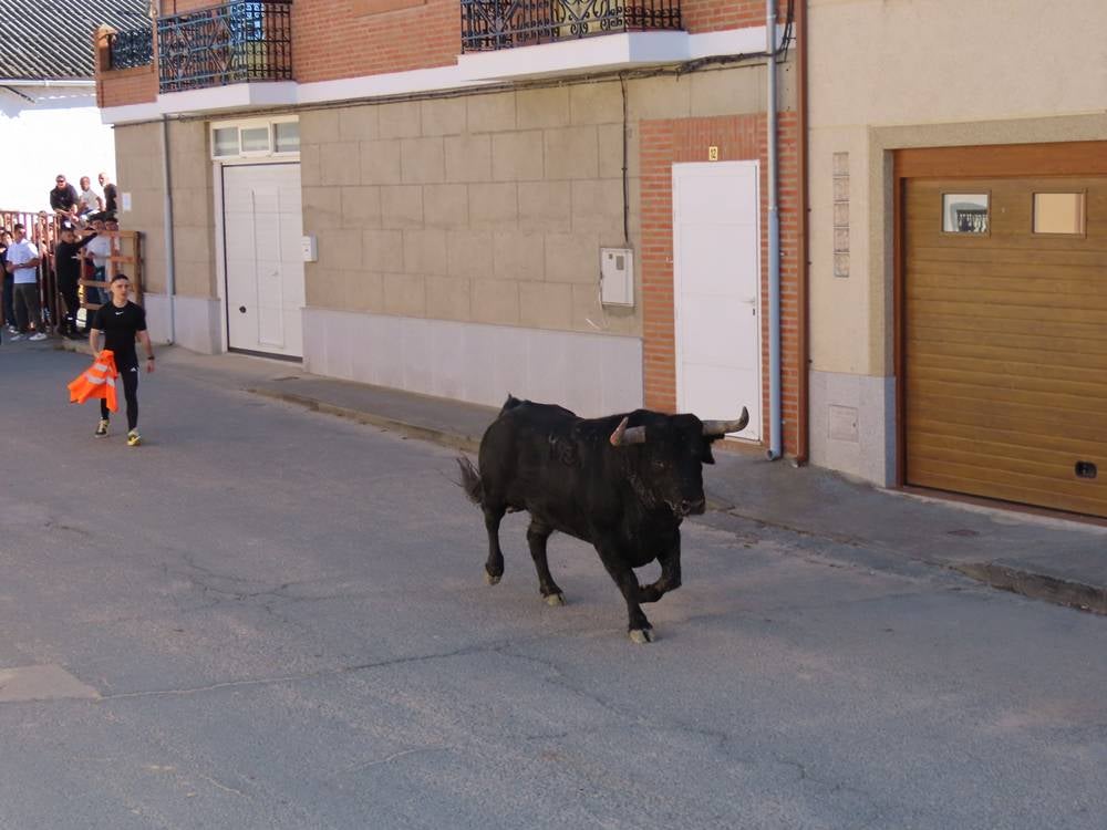 Bravura y juventud bajo un sol de justicia por las calles de Villoria