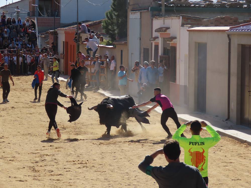 Bravura y juventud bajo un sol de justicia por las calles de Villoria