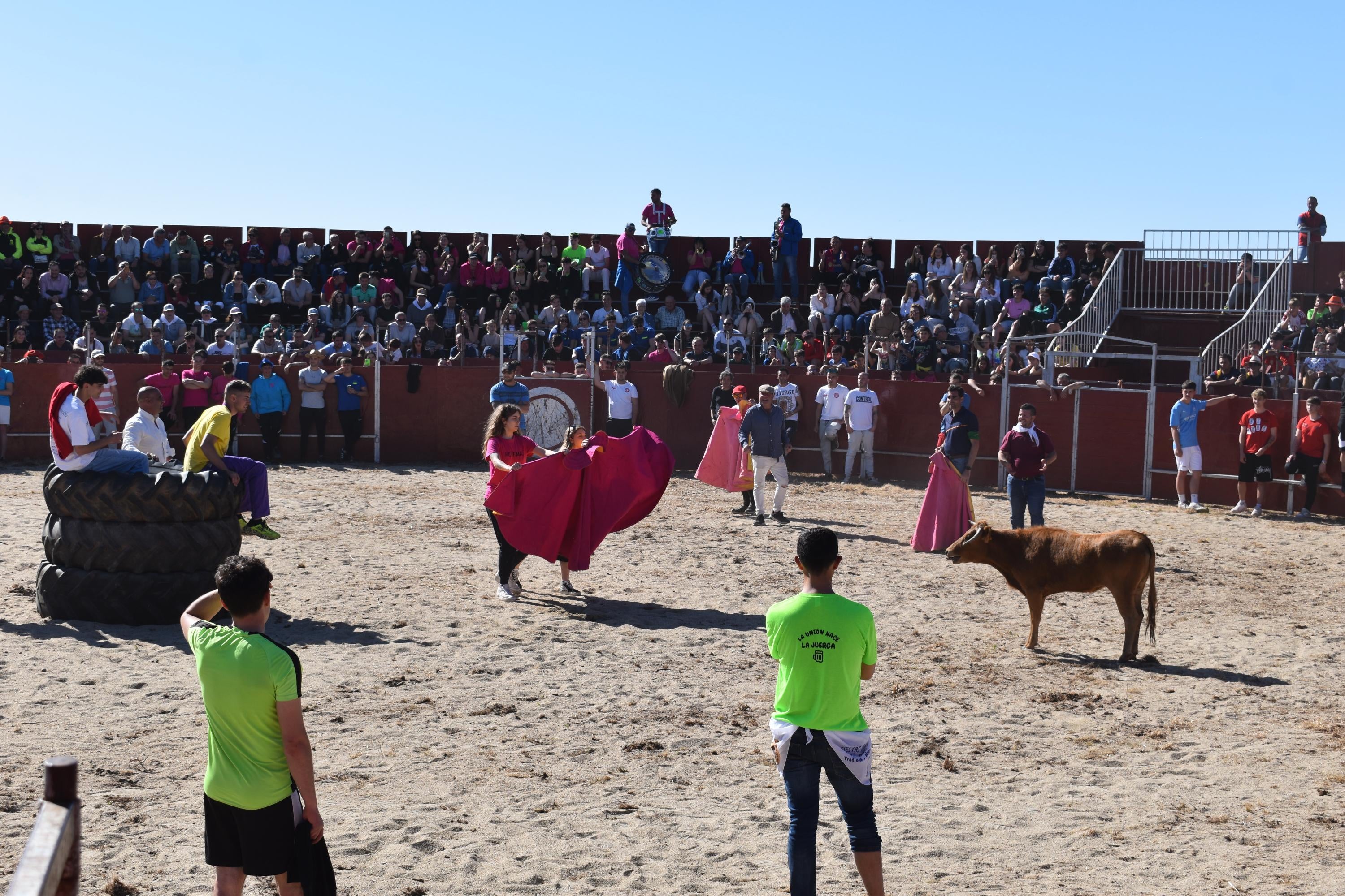 Las vaquillas y el encierro infantil con minibueyes, citas de éxito en las fiestas de Doñinos