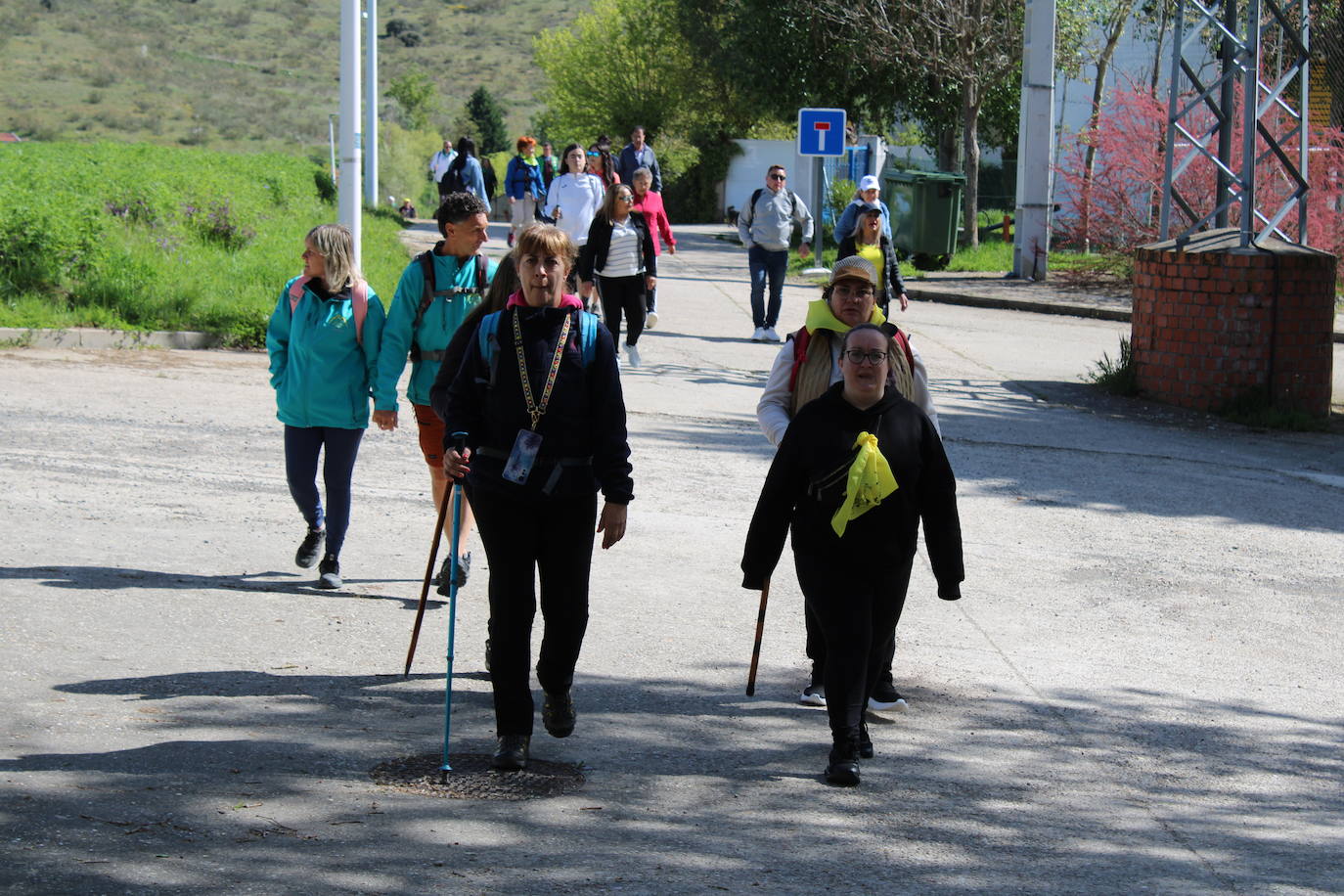 Camino de la luz para celebrar la resurrección del Señor
