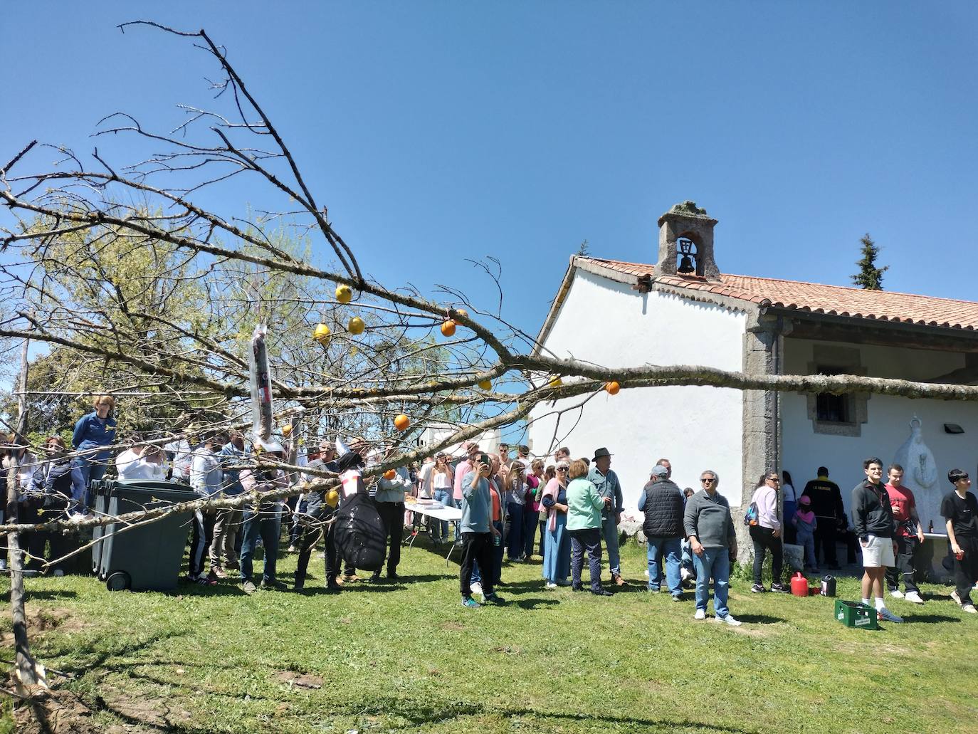 La picota de los quintos luce ya en Los Santos para recibir a la Virgen del Gozo