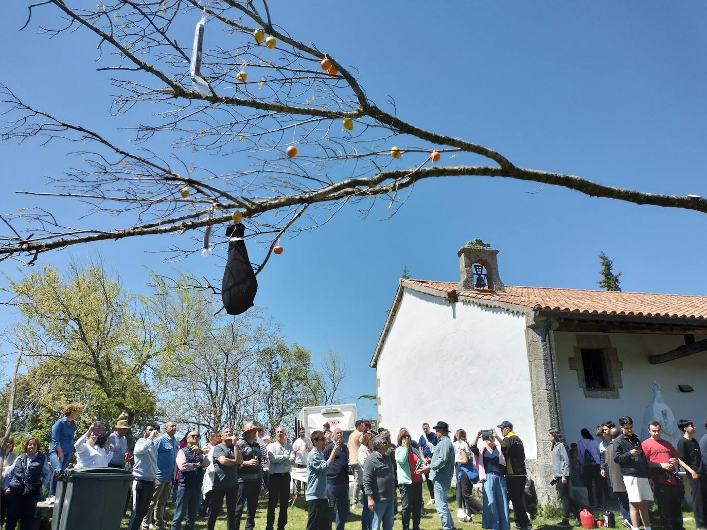 La picota de los quintos luce ya en Los Santos para recibir a la Virgen del Gozo