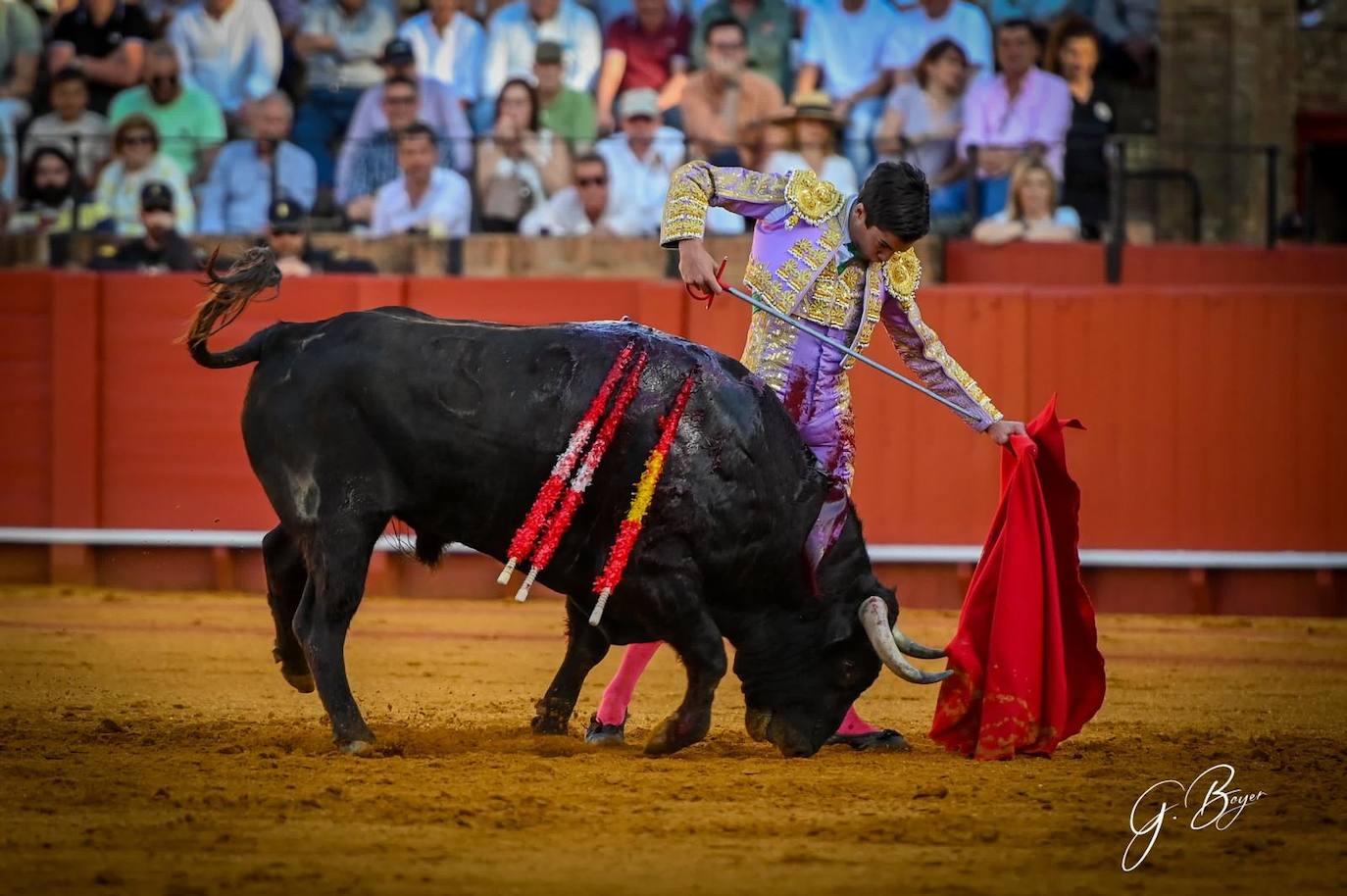 Las mejores imágenes de Marco Pérez en La Maestranza
