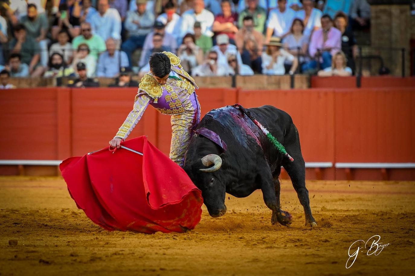 Las mejores imágenes de Marco Pérez en La Maestranza