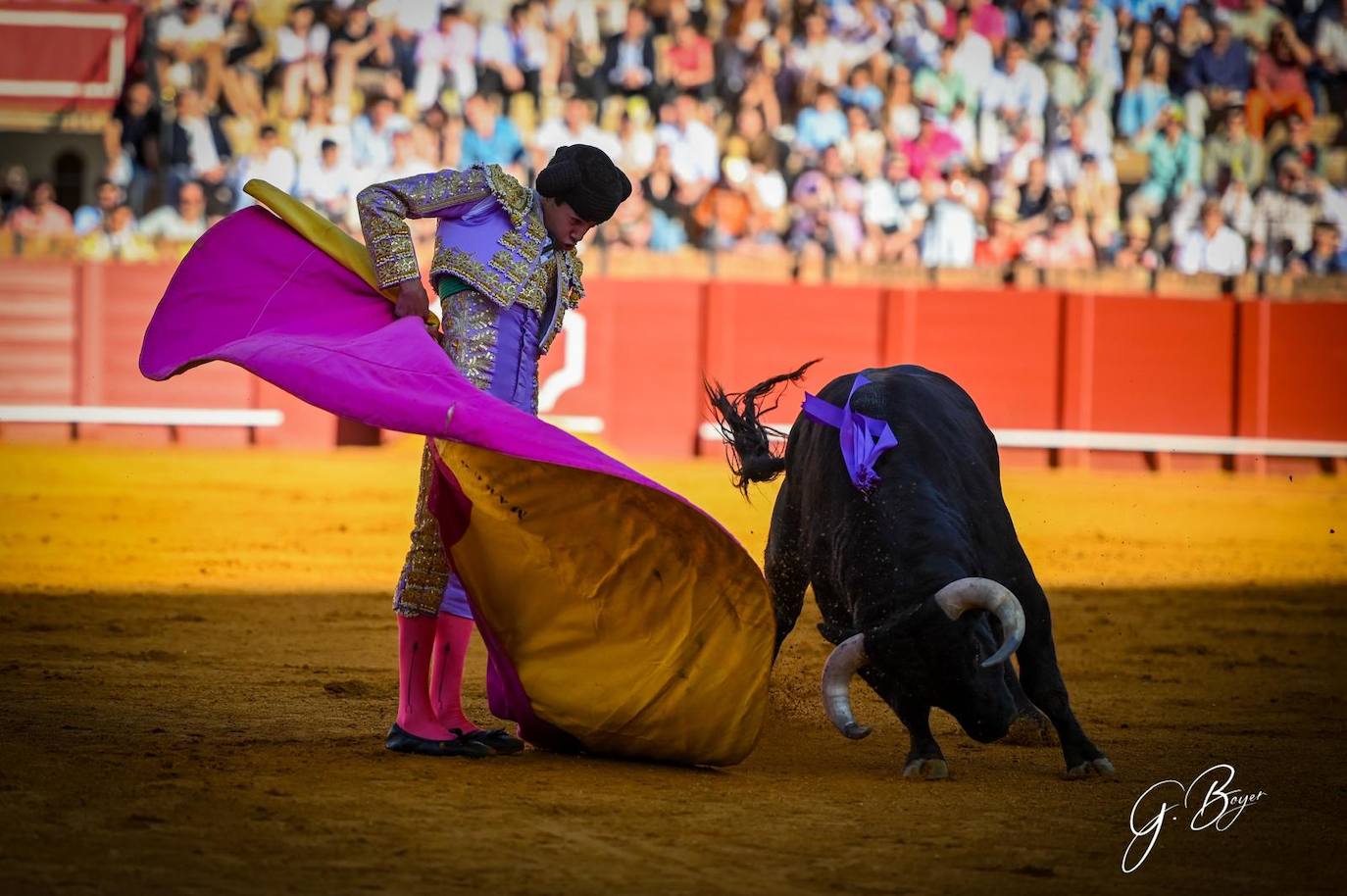 Las mejores imágenes de Marco Pérez en La Maestranza