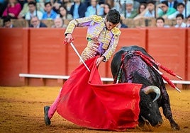 Las mejores imágenes de Marco Pérez en La Maestranza