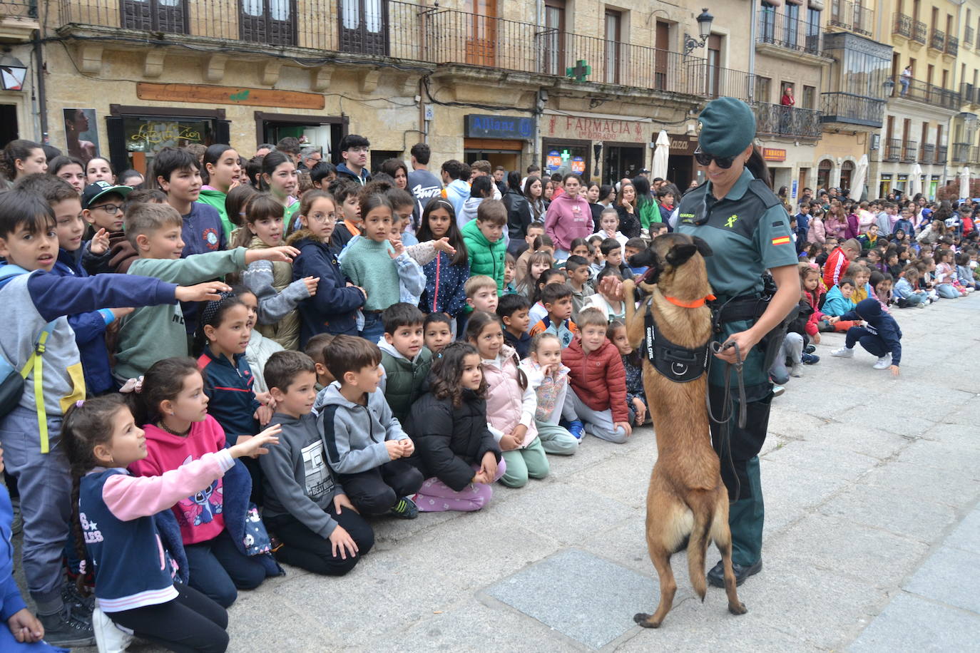 Más de mil escolares de Ciudad Rodrigo se dan cita en una exhibición de la Guardia Civil