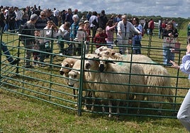 Los animales fueron uno de los grandes atractivos de la feria