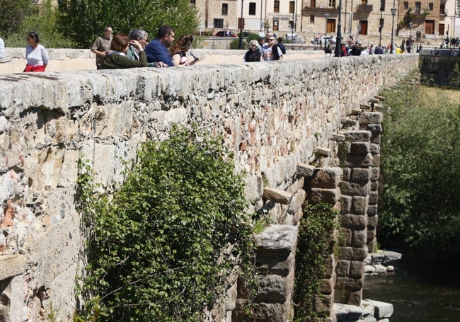 Vegetación creciendo en los desagües de la construcción histórica.
