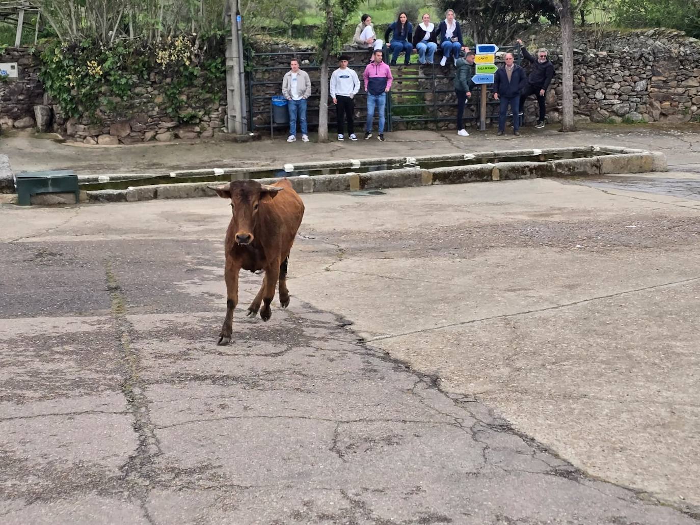 Fervor en el día central de la Santa Cruz de Saelices el Chico