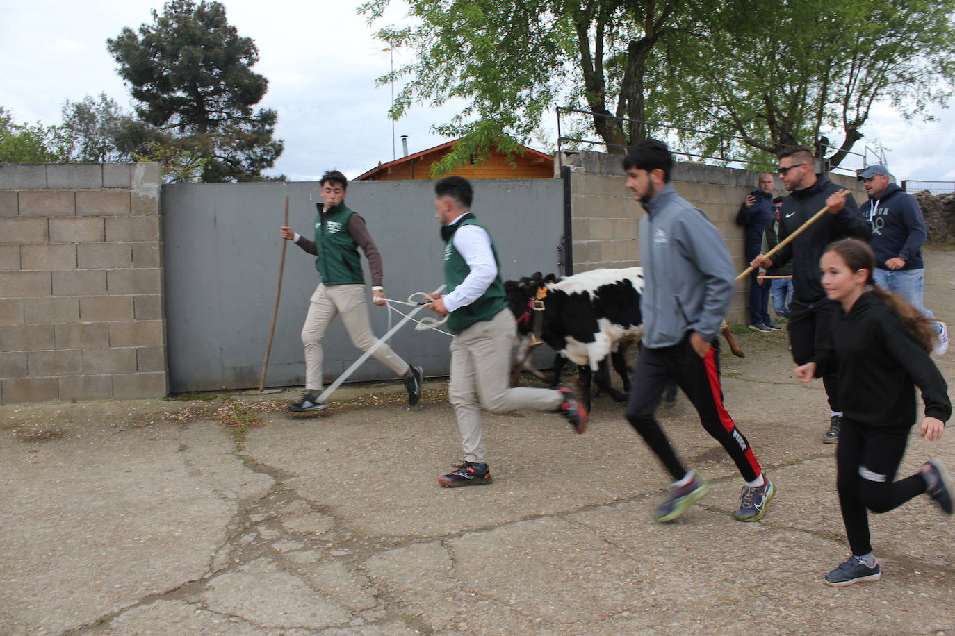 Fervor en el día central de la Santa Cruz de Saelices el Chico