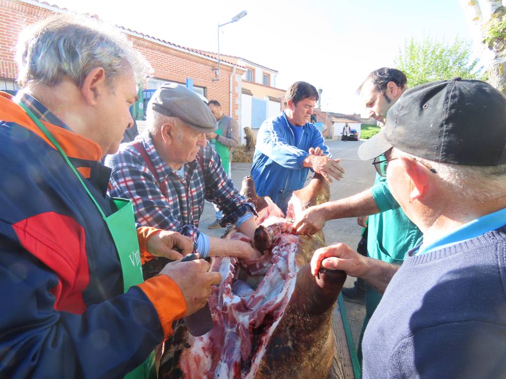 Recuerdos del pasado en la VIII Matanza Típica de Cantaracillo