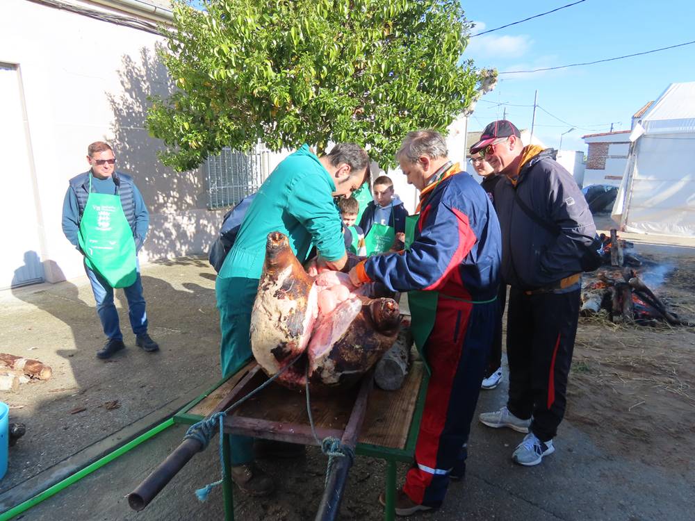 Recuerdos del pasado en la VIII Matanza Típica de Cantaracillo