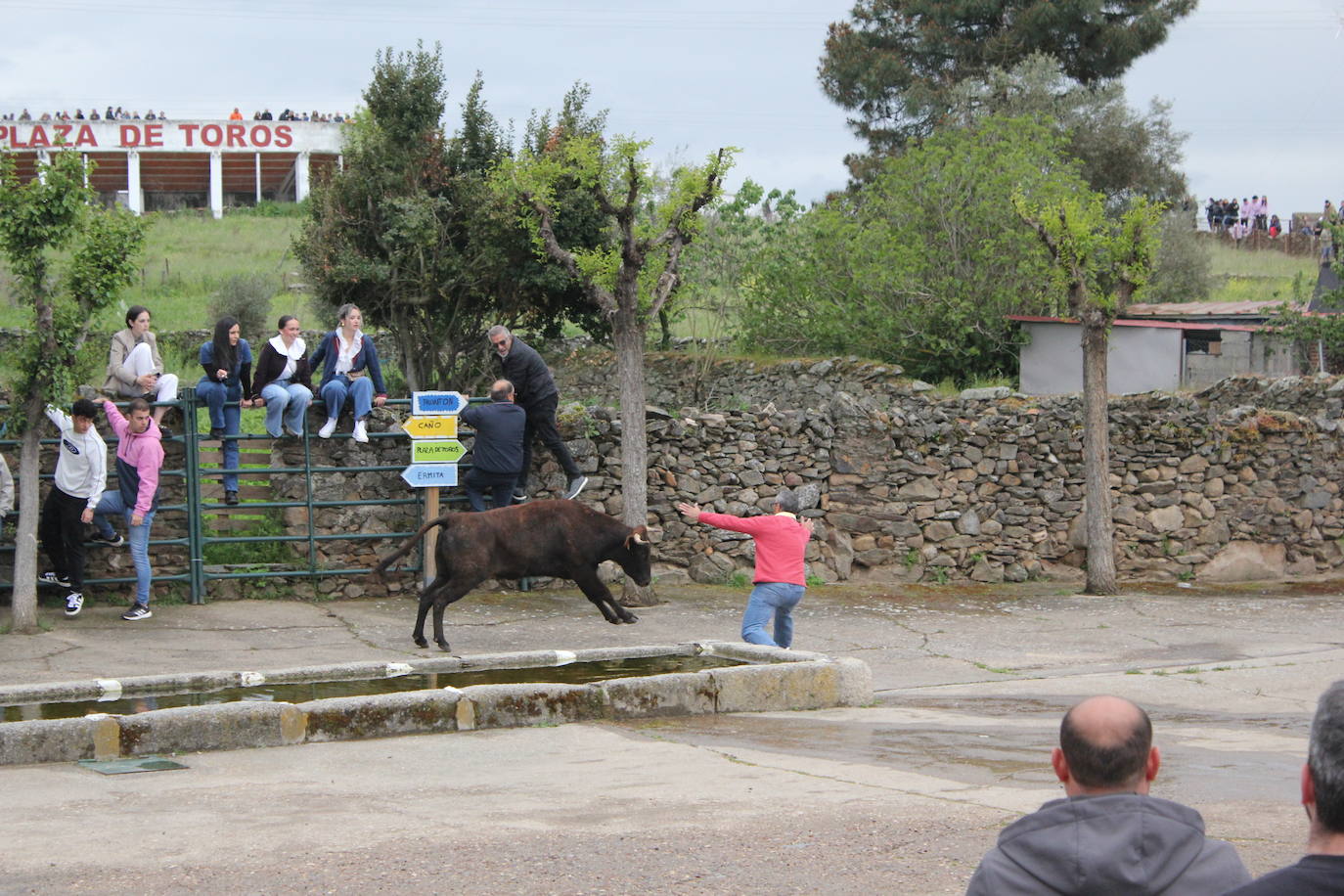 Fervor en el día central de la Santa Cruz de Saelices el Chico