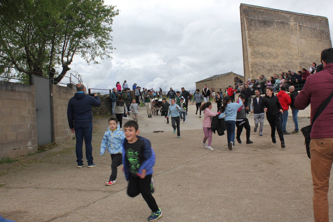 Fervor en el día central de la Santa Cruz de Saelices el Chico