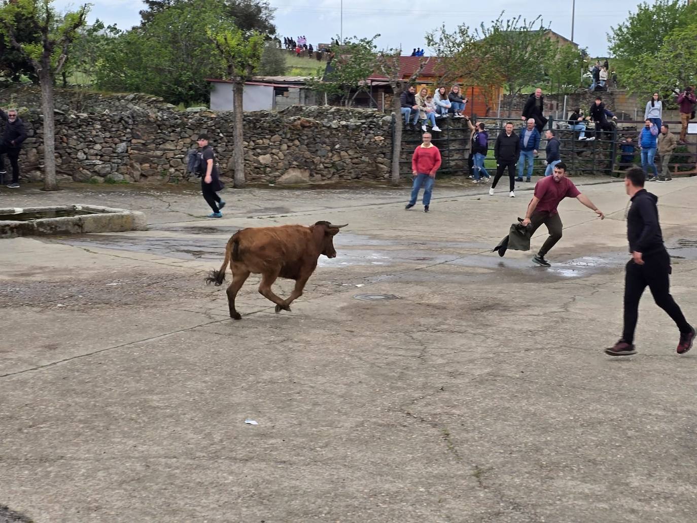 Fervor en el día central de la Santa Cruz de Saelices el Chico