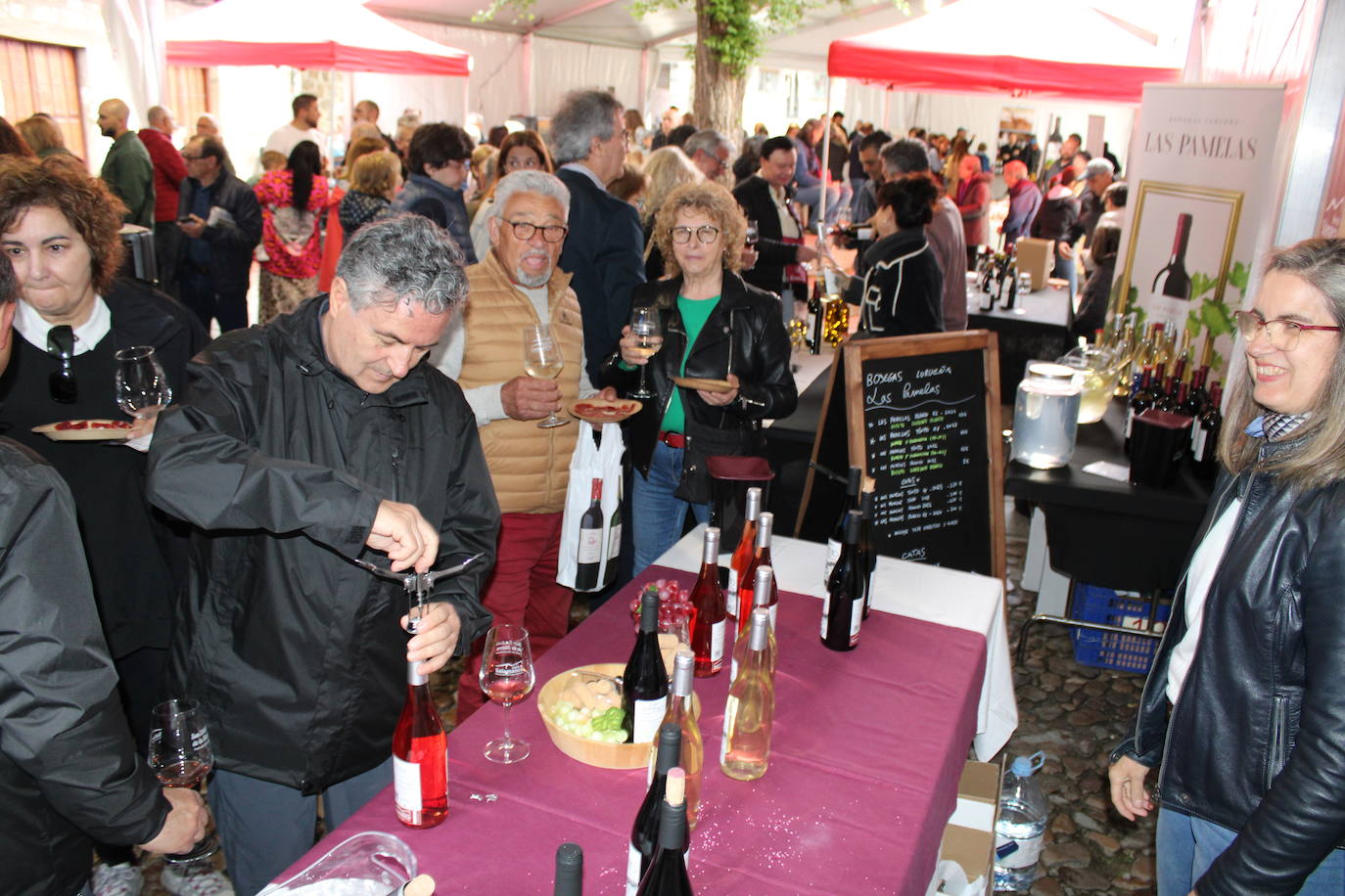 San Esteban de la Sierra disfruta de su riqueza enológica