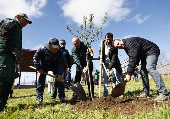 Plantación de árboles en el Bosque del Deporte, en el Complejo Deportivo La Salud de Pizarrales.