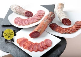 Logotipo que identifica los productos ibéricos que cumplen los estándares de calidad de la Marca de Garantía Ibéricos de Salamanca.