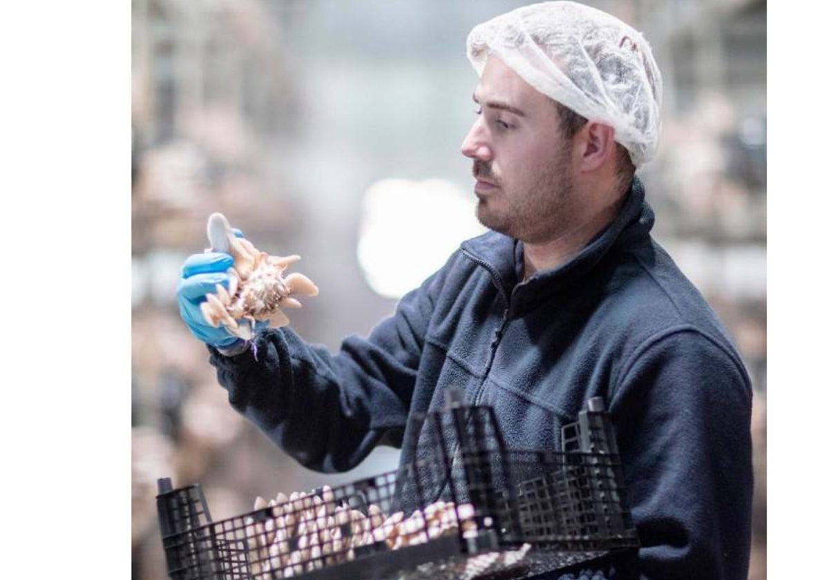 Sostenibilidad, bienestar animal y ahorro: las claves del compromiso de Mercadona con «El Jefe»