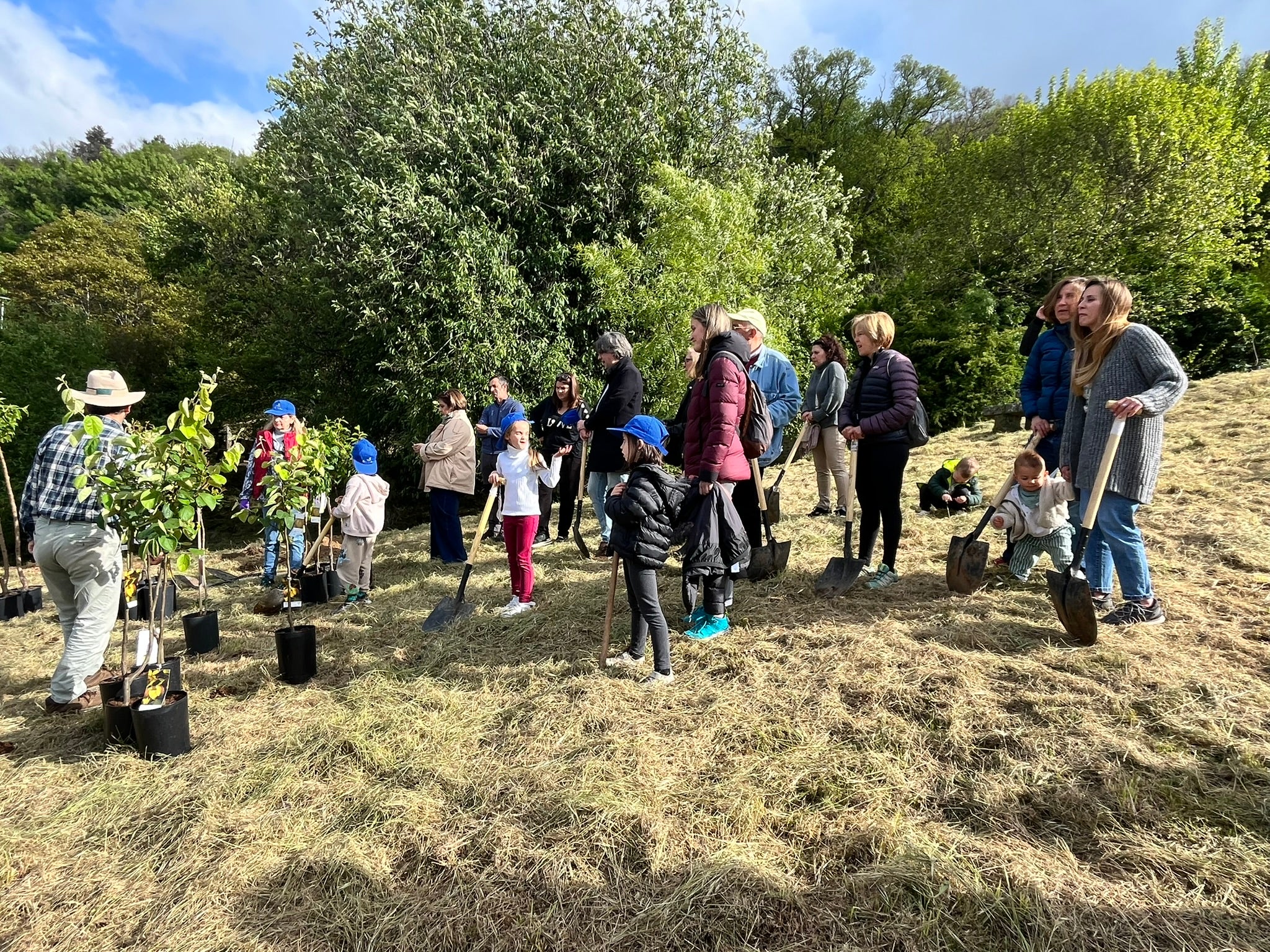 El programa Arbolar reforesta el paraje de El Regajo en Béjar