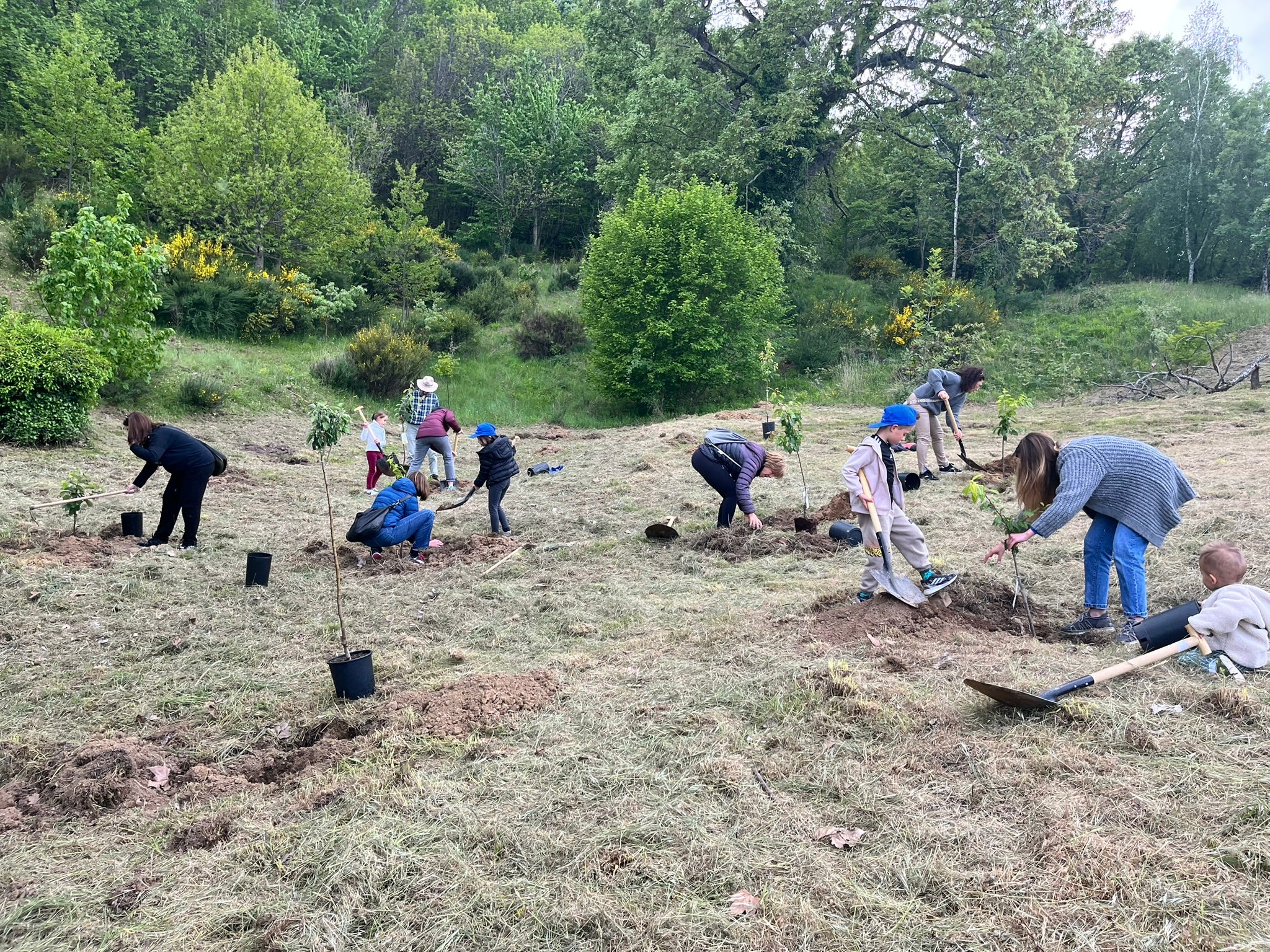 El programa Arbolar reforesta el paraje de El Regajo en Béjar