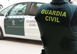 Un agente de la Guardia Civil, de espaldas, junto a un vehículo oficial.