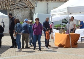 Los variados puestos conducen las jornadas.