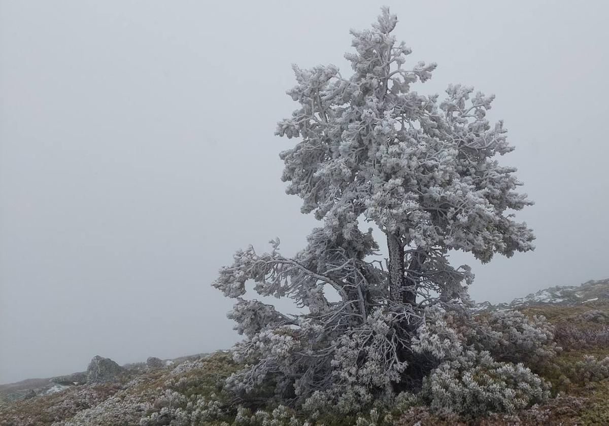 El punto de Castilla y León que se congela en plena primavera: sensación térmica de -10ºC