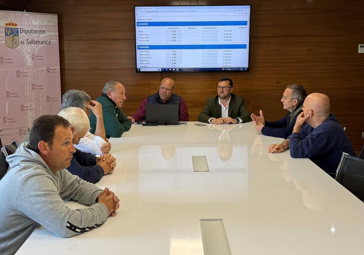 Mañana intensa en la Lonja de Salamanca.