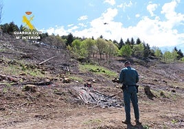 Un agente interviene en el lugar del incendio.