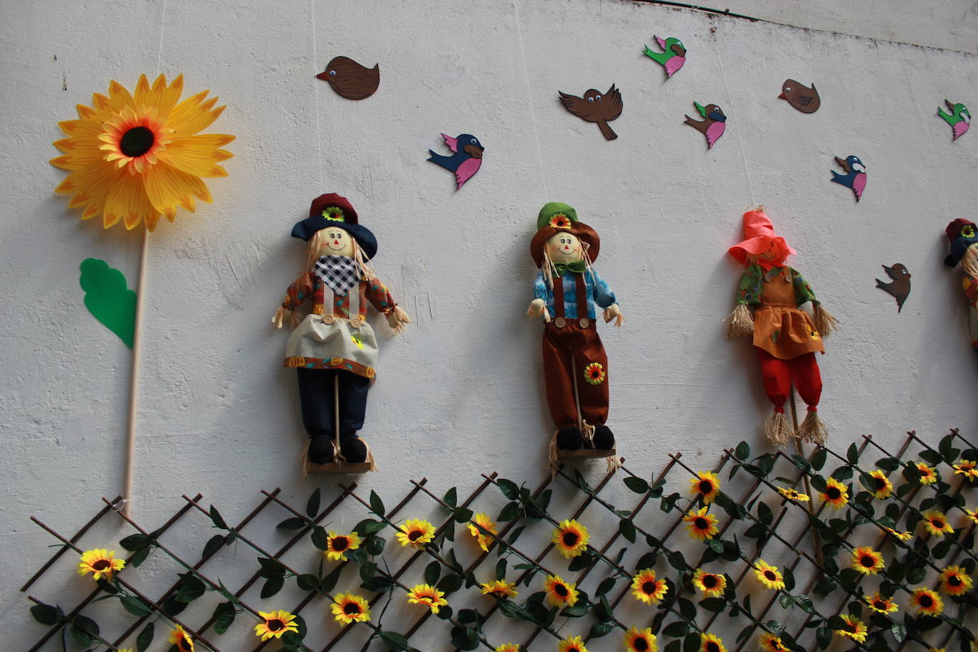 La primavera florece en Ciudad Rodrigo