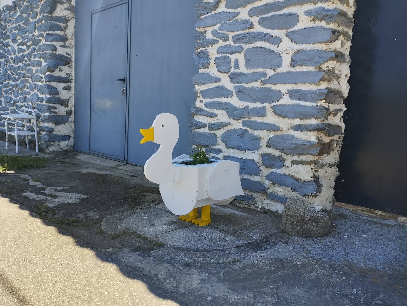 La primavera florece en Ciudad Rodrigo