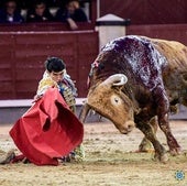 Derechazo de rodillas e Isaac Fonseca a Brigadier, el toro premiado de Pedraza de Yeltes.