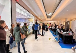Imagen de la Feria de Empleo en El Tormes.