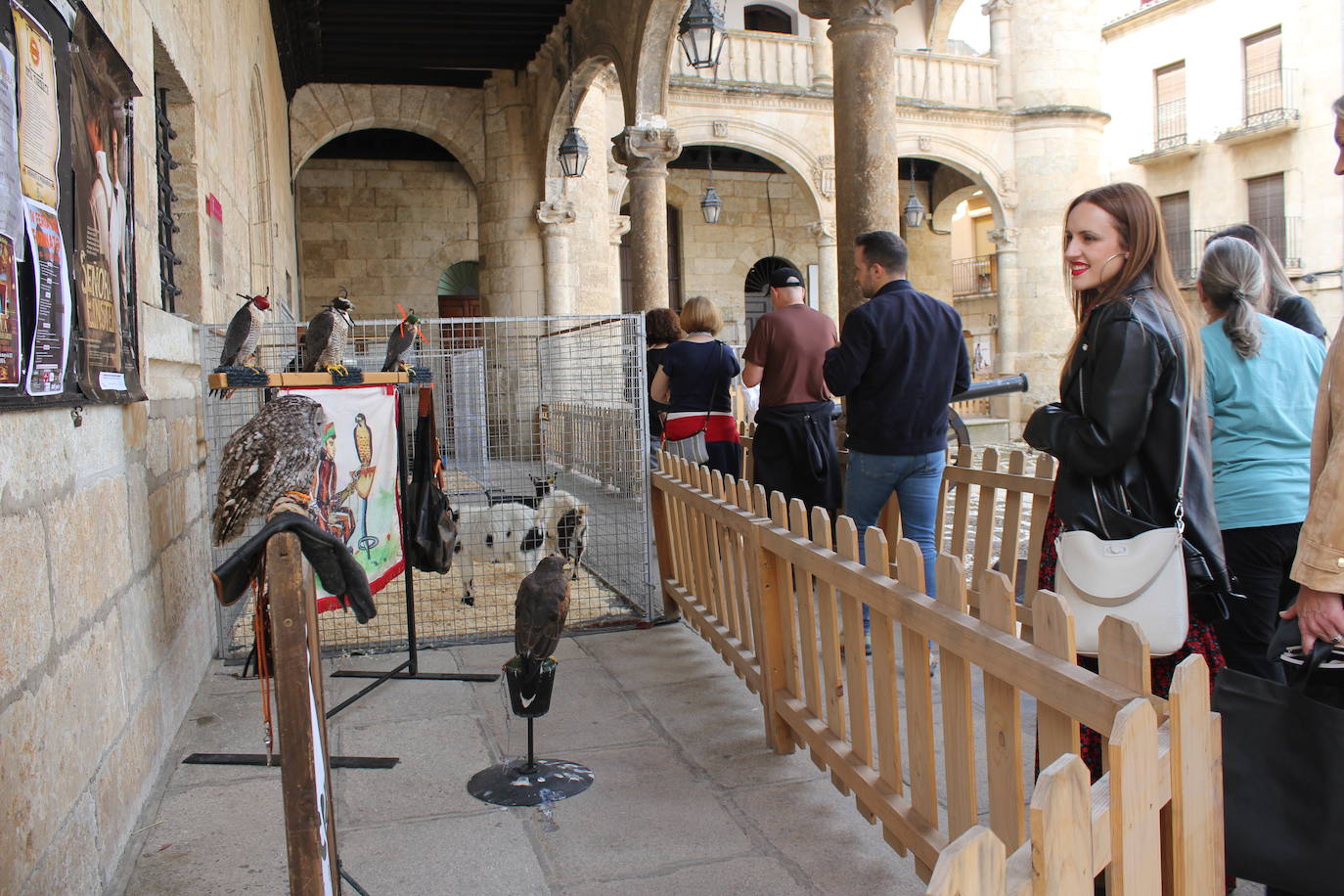 Ciudad Rodrigo se viste de sabor local y ganadería en la IV Feria del Farinato