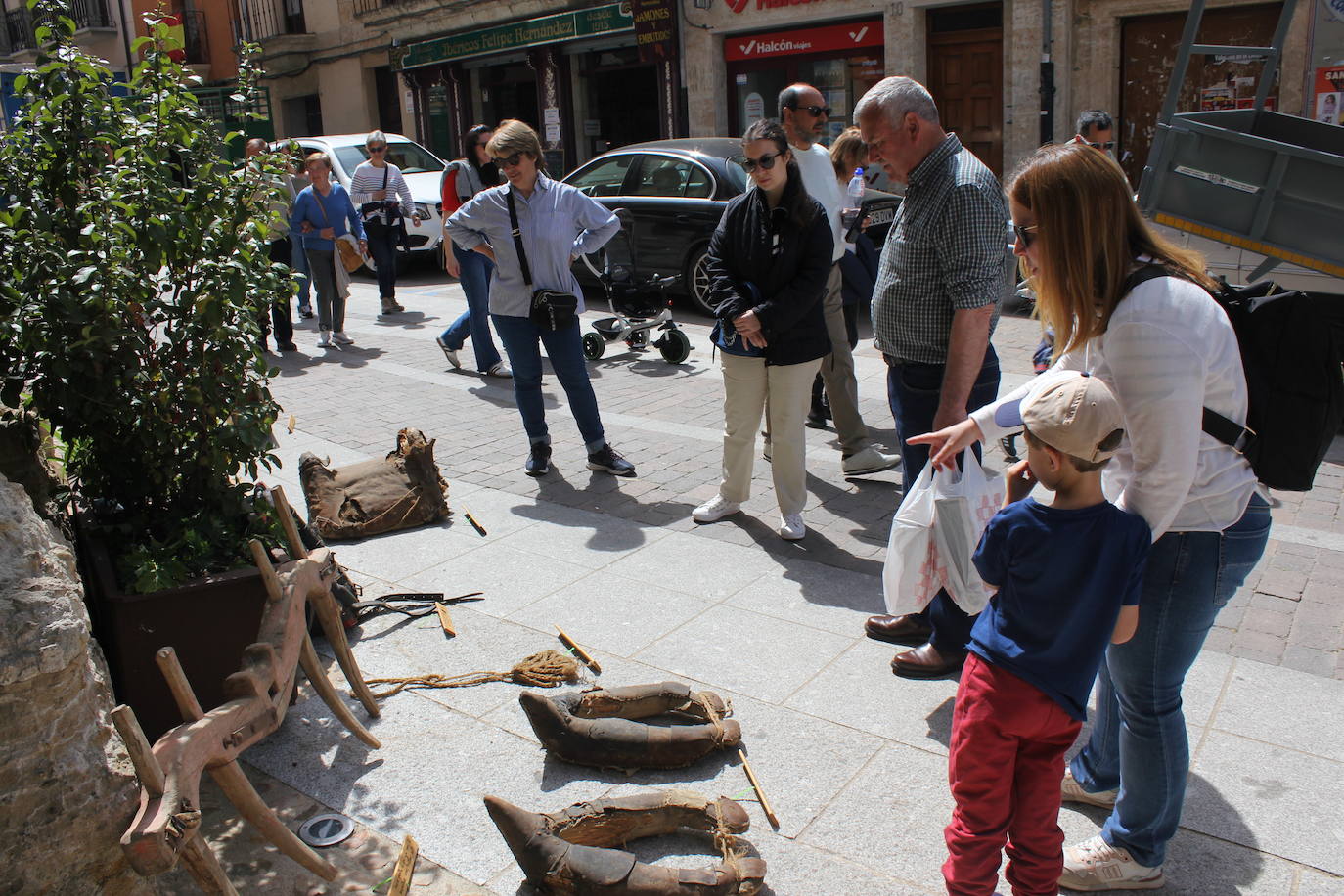Ciudad Rodrigo se viste de sabor local y ganadería en la IV Feria del Farinato