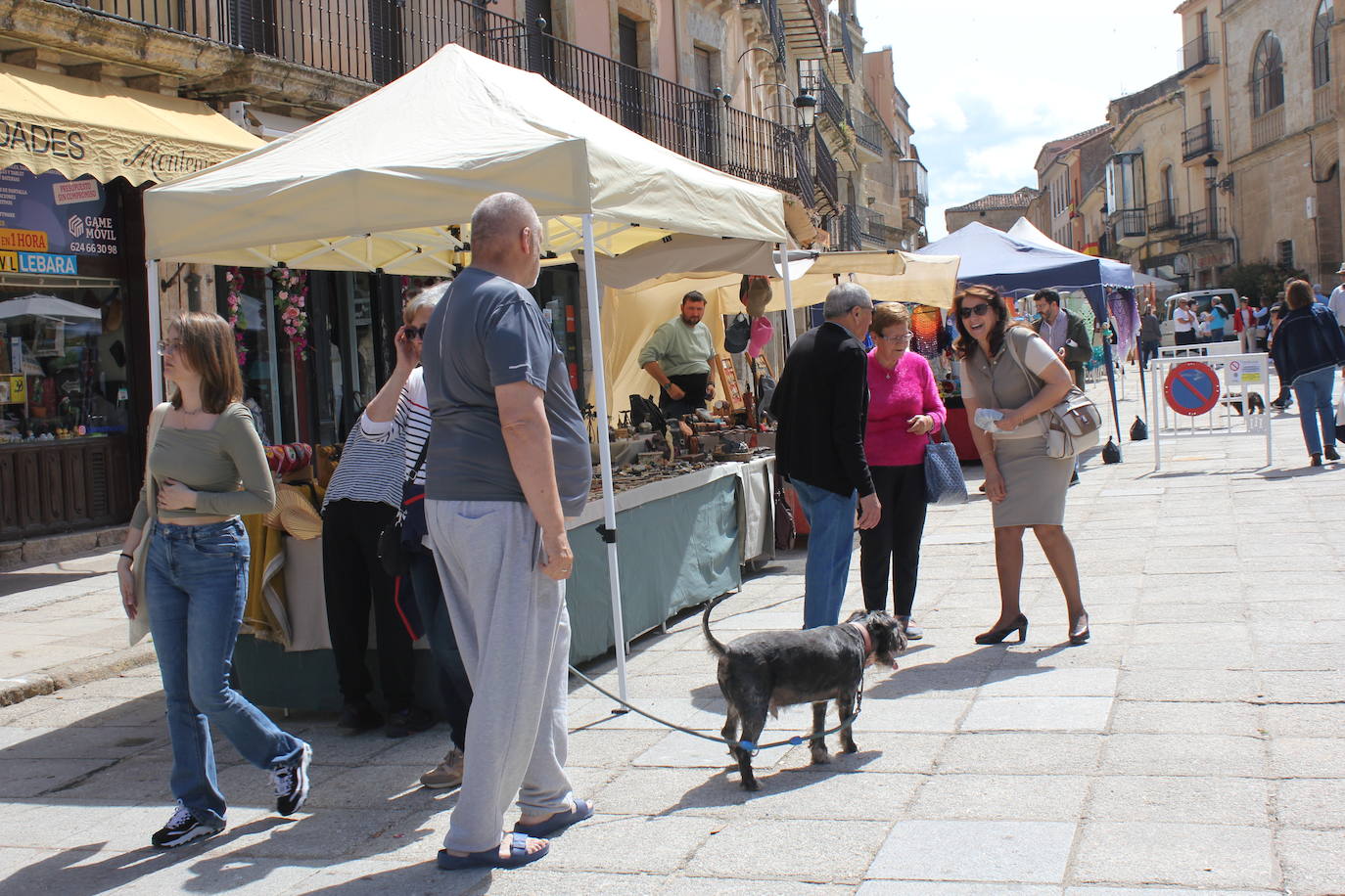 Ciudad Rodrigo se viste de sabor local y ganadería en la IV Feria del Farinato