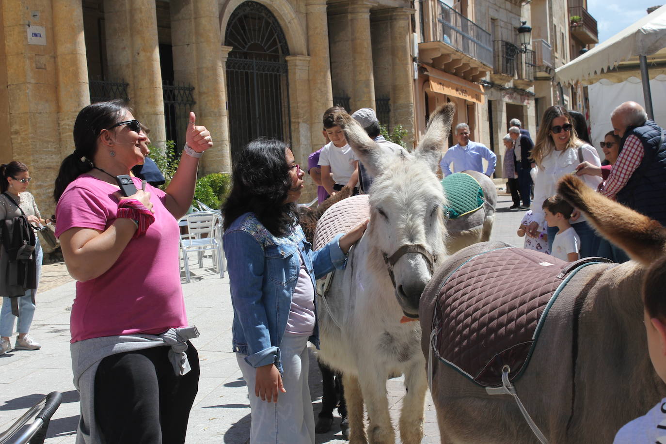 Ciudad Rodrigo se viste de sabor local y ganadería en la IV Feria del Farinato