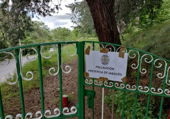 Imagen de los carteles en los que el Ayuntamiento de Béjar advierte de la presencia de jabalíes.