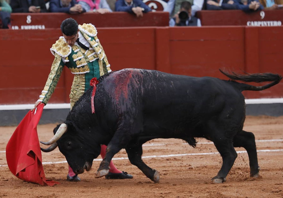 Alejandro Talavante en un derechazo a Querido, el toro de Garcigrande.