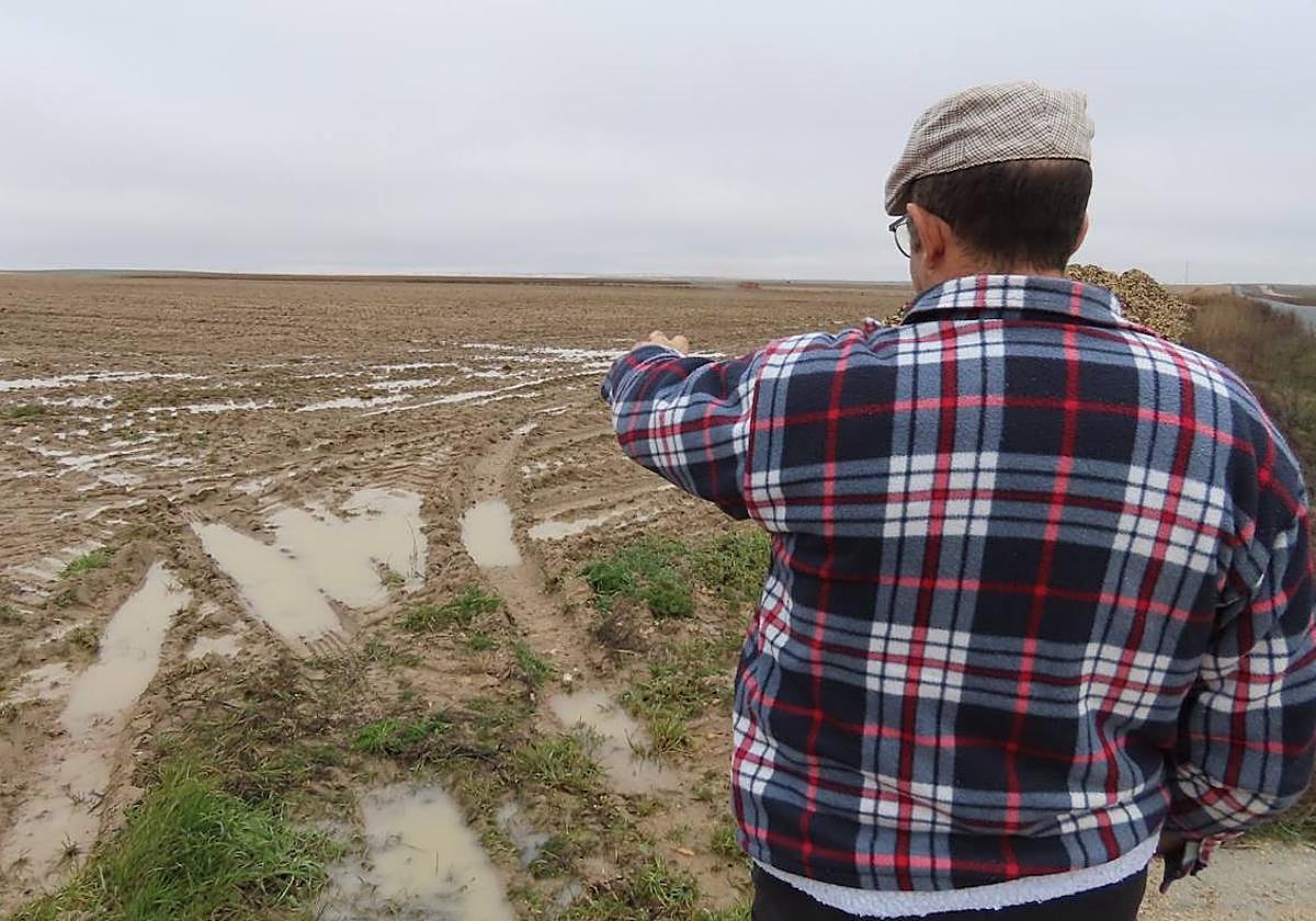 Un agricultor observa una parcela inundada.