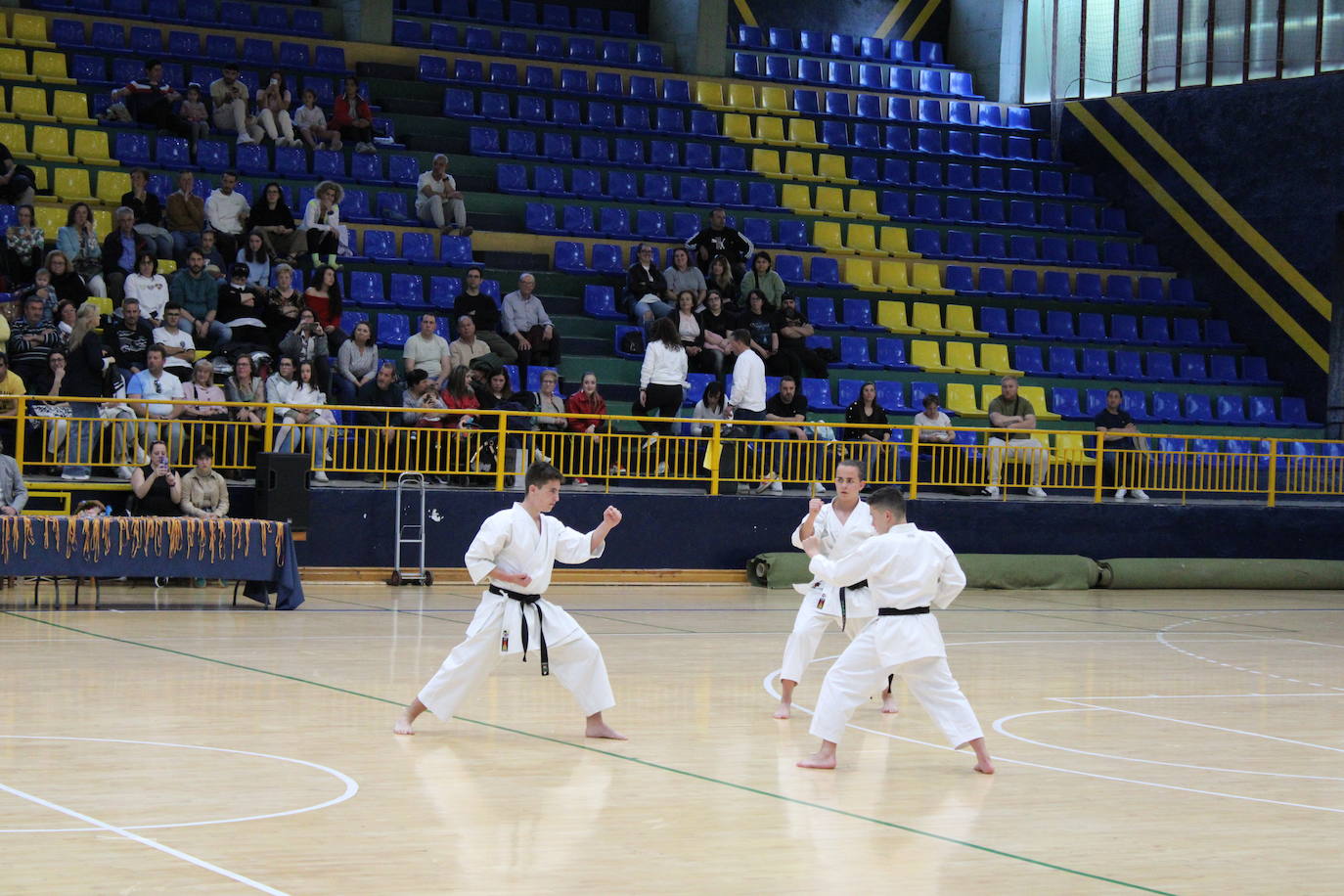 Baile y kárate en el pabellón municipal de Béjar