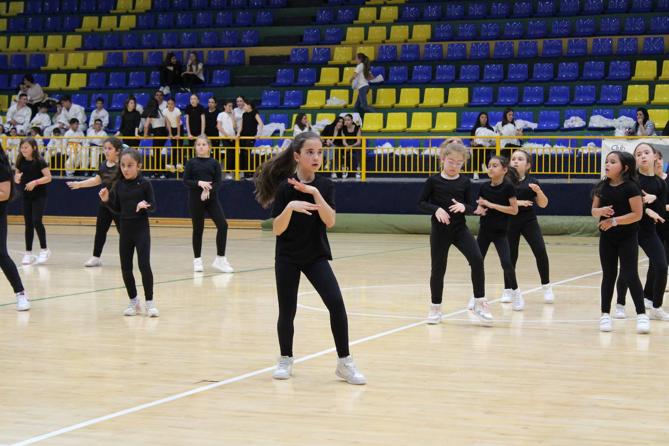 Baile y kárate en el pabellón municipal de Béjar