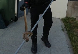 El animal, en manos de la Policía Local.