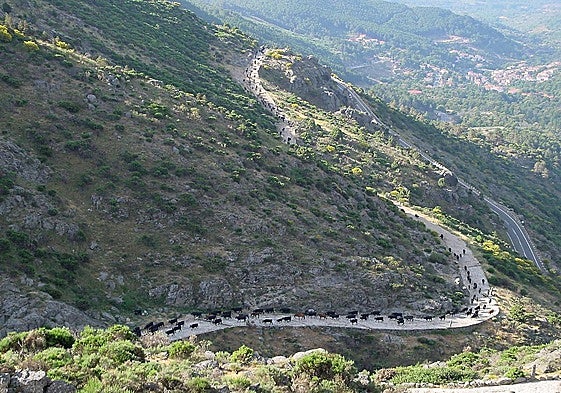 Imagen de la estación meteorológica que ha registrado la temperatura más baja de España este domingo.