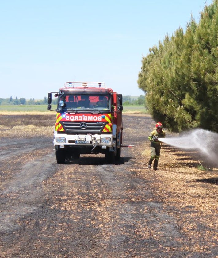 Imagen secundaria 2 - Una parcela de centeno arde en La Nava de Sotrobal