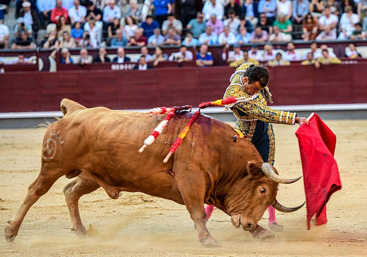Pase de pecho de Damián Castaño al quinto toro de Dolores Aguirre en Las Ventas.