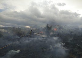 Un bombero sofoca un incendio forestal en la provincia.